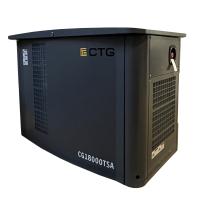 Газовый генератор CTG CG18000SA (15 кВт)