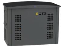 Газовый генератор CTG CG17000SA (15 кВт)