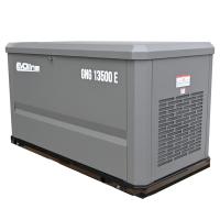 Газовый генератор EVOline GNG 13500 E (12,5 кВт)