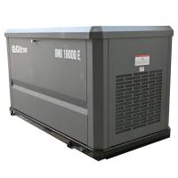 Газовый генератор EVOline GNG 19000 E (16,5 кВт)