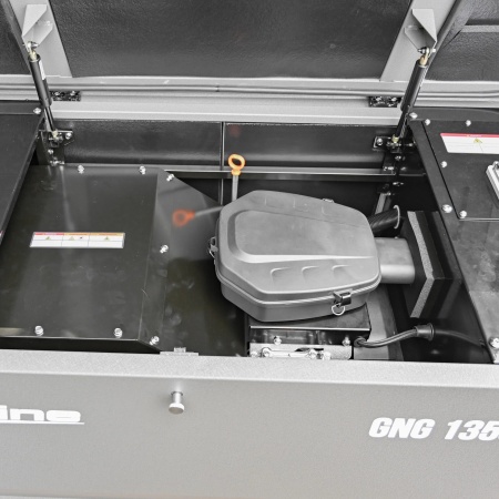 Газовый генератор EVOline GNG 13500 E (12,5 кВт)