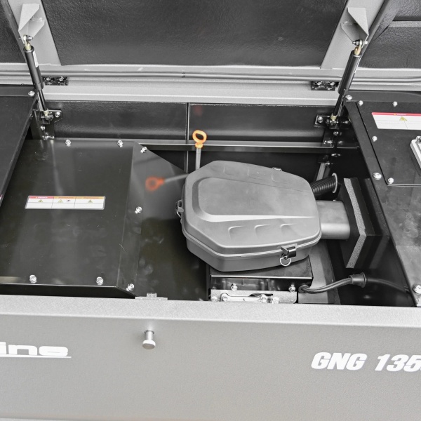 Газовый генератор EVOline GNG 13500 E (12,5 кВт)