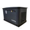 Газовый генератор CTG CG10000SA (8 кВт)