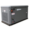 Газовый генератор EVOline GNG 13500 E (12,5 кВт)