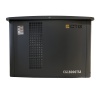 Газовый генератор CTG CG18000TSA (15 кВт)